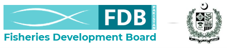 FDB MNFSR